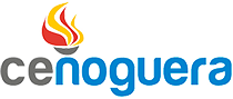 Consell Esportiu La Noguera Logo