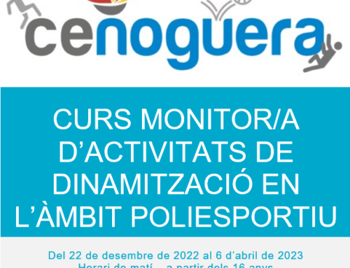Curs Monitor/a d’activitats de dinamització en l’àmbit poliesportiu