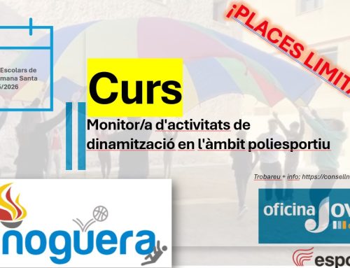 Curs Monitor/a d’activitats de dinamització en l’àmbit poliesportiu